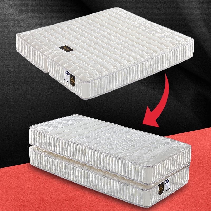 Foldable Spring Latex + Coir Mattress - Image 2