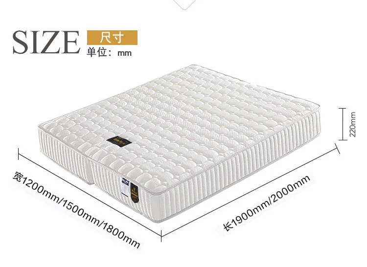 Foldable Spring Latex + Coir Mattress - Image 8